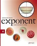 Exponent 4