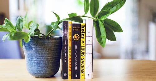 CTA Banner Background