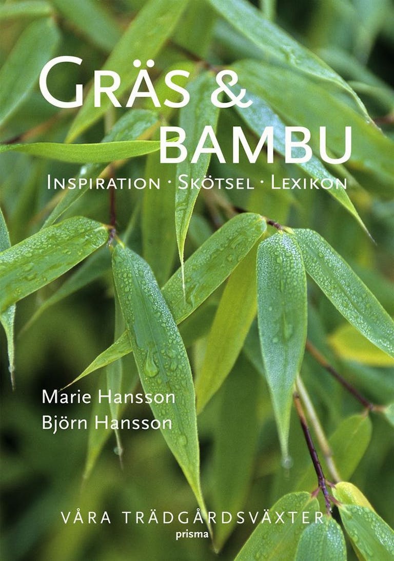Gräs & bambu : våra trädgårdsväxter