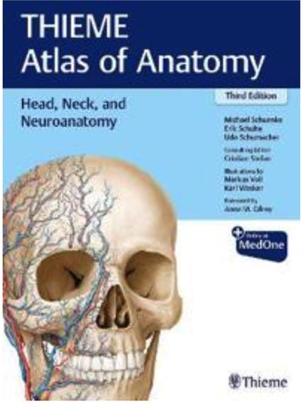 Thieme atlas of anatomy: head, neck and neuroanatomy