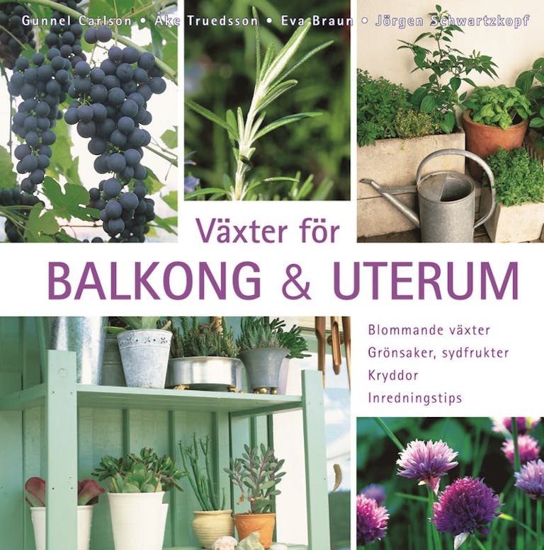 Växter för balkong &amp; uterum : blommande växter, grönsaker, sydfrukter, kryddor, inredningstips