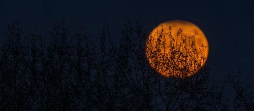 CTA Banner Background