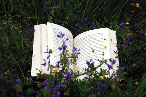 CTA Banner Background